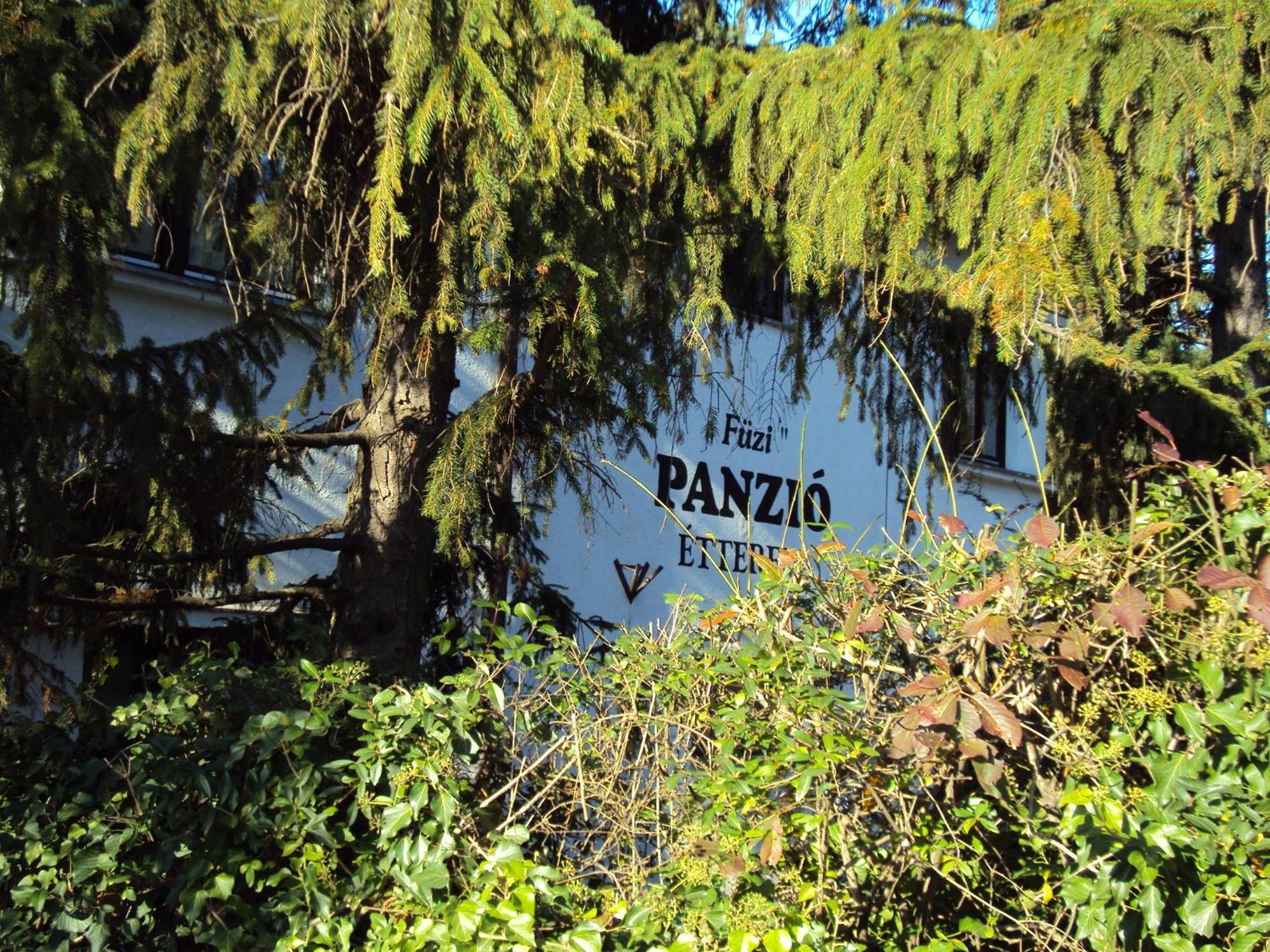 Bed and Breakfast Fuezi Panzio Шопрон Экстерьер фото